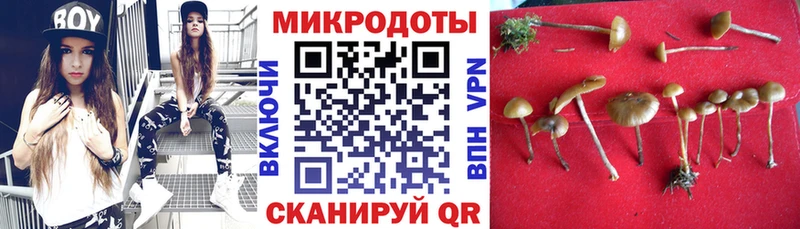 где можно купить наркотик  Жигулёвск  Псилоцибиновые грибы Cubensis 