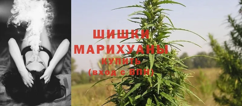 сколько стоит  Жигулёвск  Марихуана Ganja 